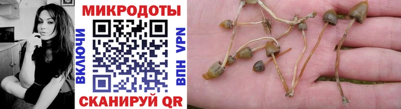 купить наркоту  Талдом  Галлюциногенные грибы прущие грибы 
